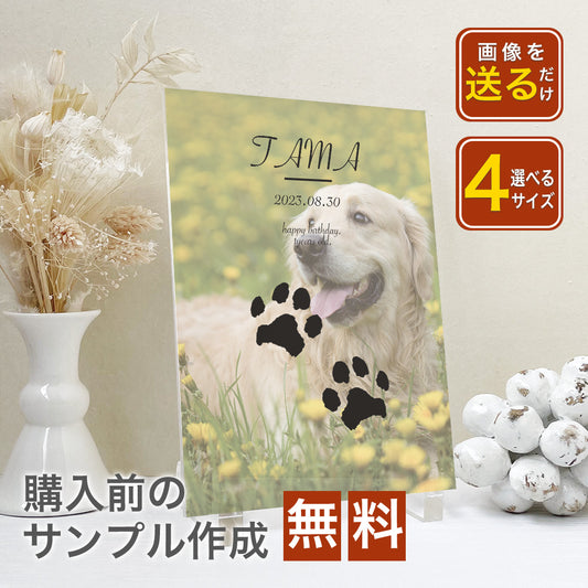 ペット　肉球デザイン　アクリルプレート　アクリルパネル　犬　猫　 #A50-1