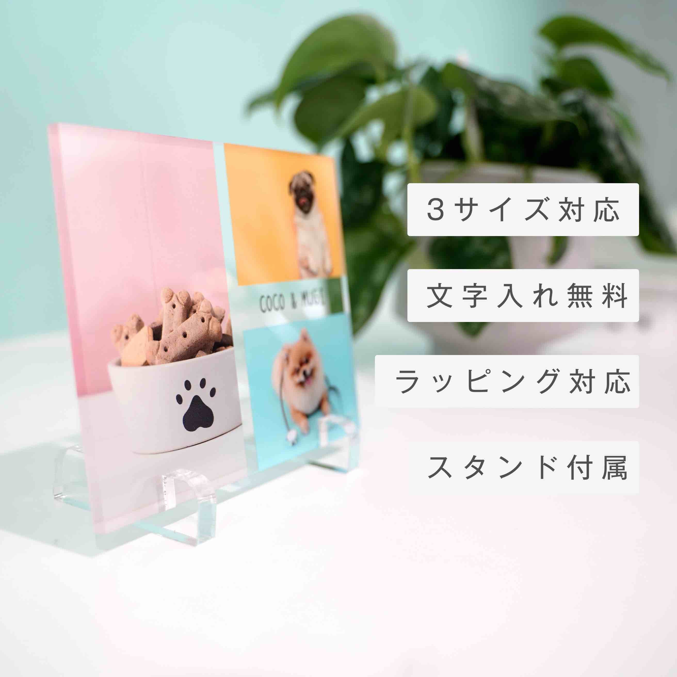 アクリルフォトパネル 【A06】｜GiFTY