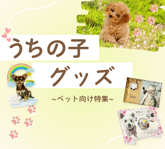 ペット